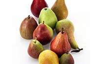 Menu pear varieties
